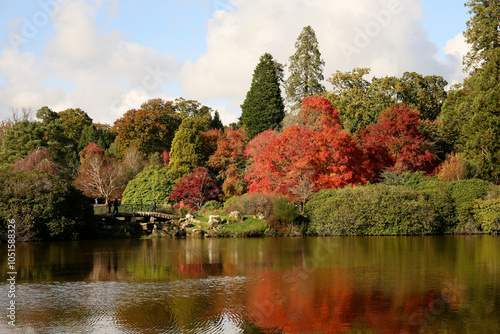 Autumn trees in Sussex, England