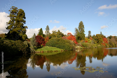 Autumn trees in Sussex, England