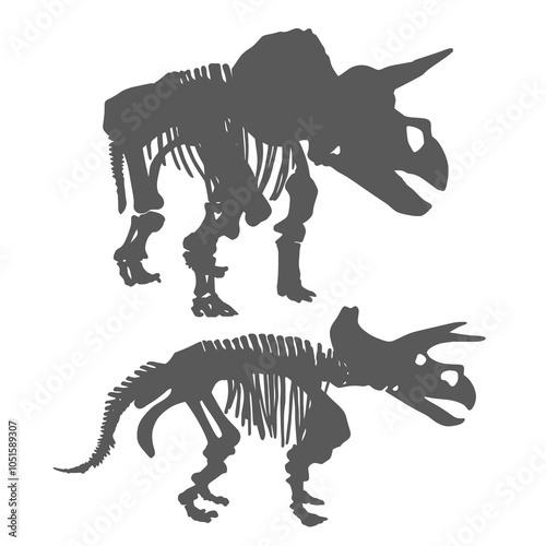 Vector Silhouette Set of Triceratops Skeletons