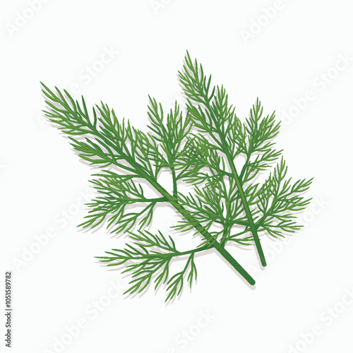 Dill leaves vector illustration clipart