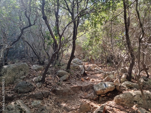 The mouth of the dried up Yagur stream . Israel 