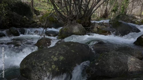 fast flowing mountain river next to stones with very noisy moss in horizontal photo