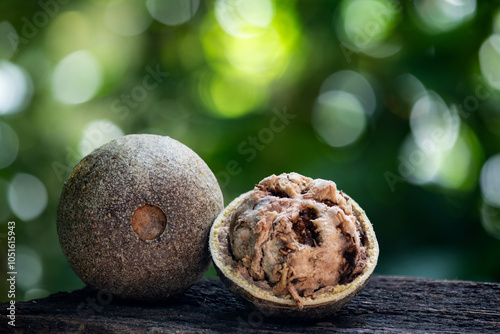 Limonia or Feronia limonia (L.) Swingle fruits on natural background. photo