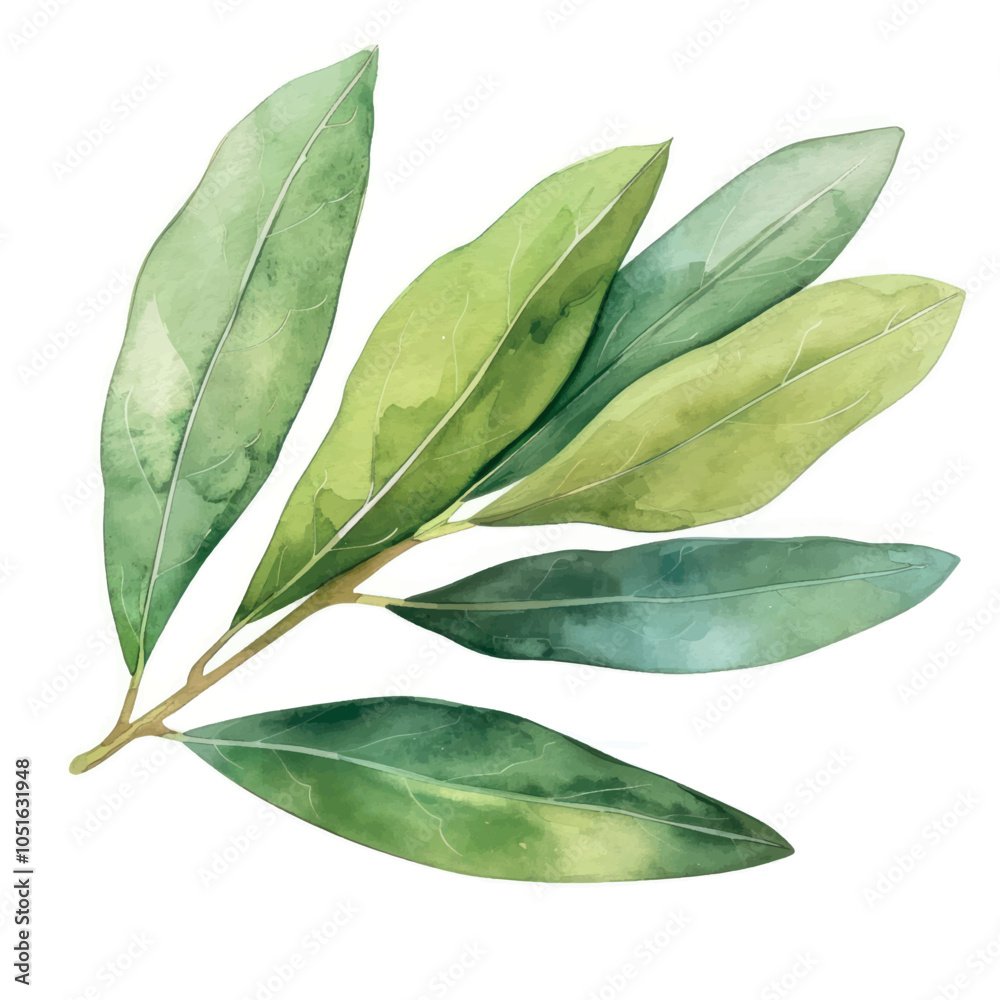 Obraz premium Watercolor botanical leaf illustration