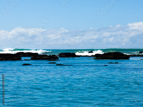 coral reef