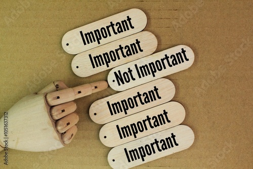 sticks are arranged with the words important or not important. the concept of separation of important and unimportant
