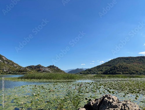 Lake Shkodra: A Natural Gem on the Montenegro-Albania Border photo