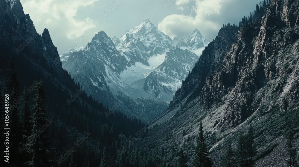 Obraz premium Mountain Range with Trees