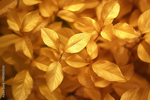Golden Leaves in Soft Light