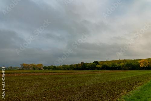 A wide shot of a grassy field with trees in the distance, under a cloudy sky