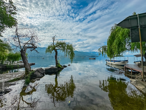 Solitary trees with weeping branches stands at water edge at Lake Ohrid, North Macedonia. Small boats are moored at lake shore. Reflections shimmering on the calm surface. Distant mountains and hills photo