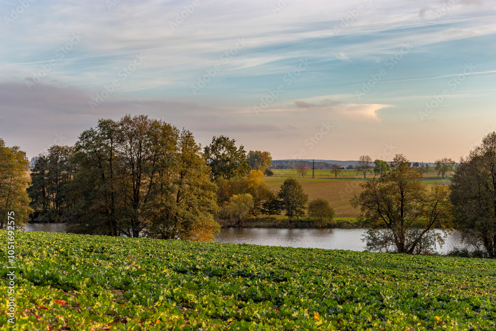 Field and lake on an autumn evening. Rural landscape.