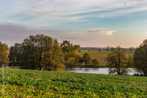 Obraz na płótnie Field and lake on an autumn evening. Rural landscape. w salonie