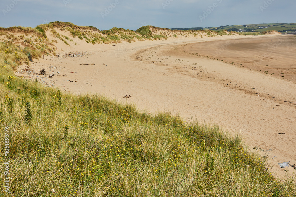Sand dunes along the western shore of the estuary of the Taw and Torridge Rivers, near Barnstaple, Devon, England, United Kingdom, Europe Sand dunes along the western shore of the estuary of the Taw and Torridge Rivers, near Barnstaple, Devon, England, United Kingdom, Europe