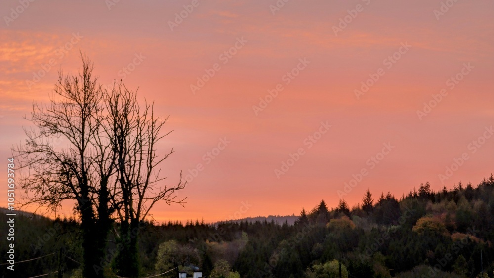Beautiful sunrise landscape scenery, forest at Slieve Bloom mountains, Forelacka, Co. Offaly, Ireland, nature background