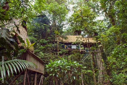 Tree house 15 meters off ground, French Guiana, Overseas department and region of France, French Guiana, South America photo