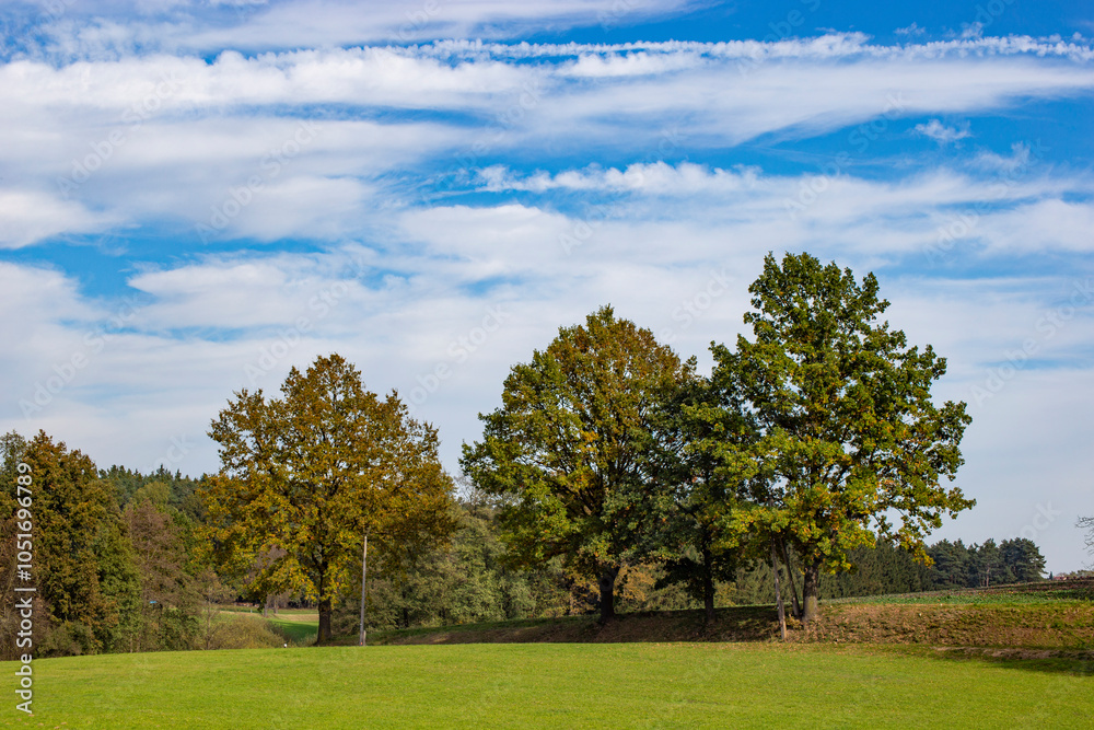 An autumn landscape with a field and trees in the countryside of Central Europe.