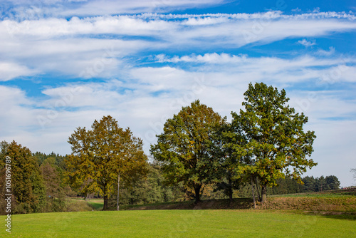 Obraz na płótnie An autumn landscape with a field and trees in the countryside of Central Europe. w salonie