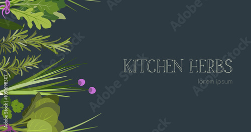 Green kitchen herbs banner template vector flat illustration on dark background. Rosemary, coriander, basil, parsley, arugula, spinach. Graphic elements for cook book design, menu and recipe sheets