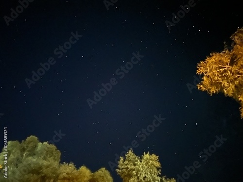 Starry Night in Uluru 2