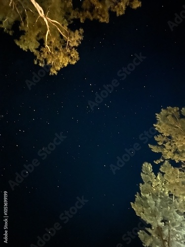 Starry Night in Uluru 3