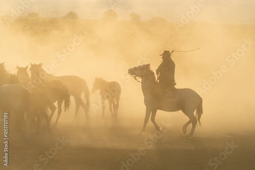 Cowboy on horse with whip herding wild and semi-wild Yilki horses at sunset, Hacilar, Kayseri, Cappadocia, Anatolia, Turkey, Asia Minor, Asia photo