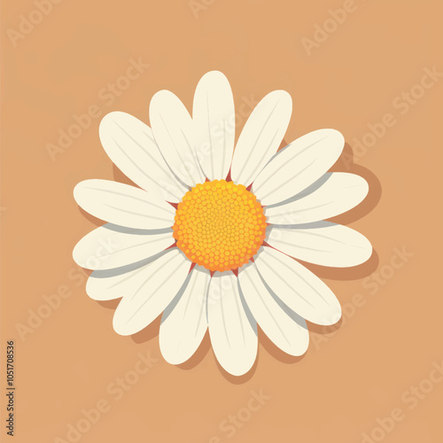 White daisy flower illustration