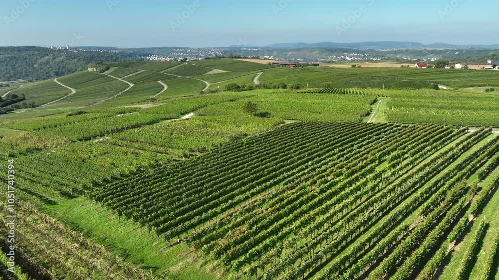drone flight over of the river loop in the Neckar Valley with its famous steep vineyards next to Mundelsheim and Hessigheim in Baden-Wuerttemberg , Germany drone flight over of the river loop in the Neckar Valley with its famous steep vineyards next to Mundelsheim and Hessigheim in Baden-Wuerttemberg , Germany