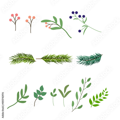 Set of illustrated twigs and leaves