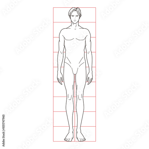 Front view of a male figure with proportional measurement grid, minimalistic line art

