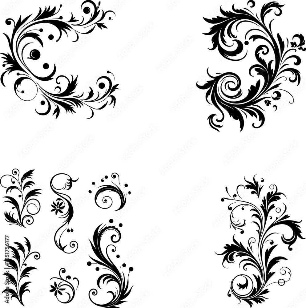 Calligraphic Design Elements Ornate Scroll flourishes filigree Swirl ornament stroke curls divider Calligraphic Design Elements Ornate Scroll flourishes filigree Swirl ornament stroke curls divider