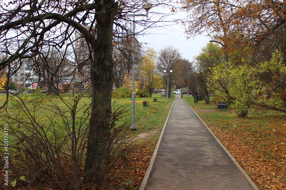 Fototapeta premium Autumn Pathway Through a Quiet Urban Park with Fall Foliage and Empty Walkway
