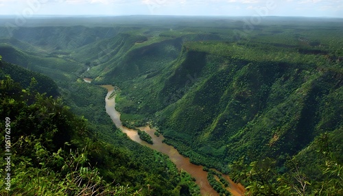 Lush Maiombe Forest in Cabinda photo