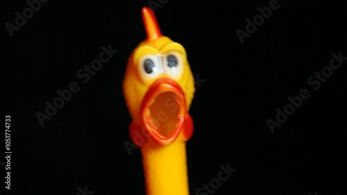 rubber chicken dark background