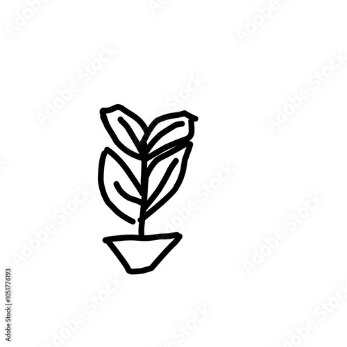 plant in a pot