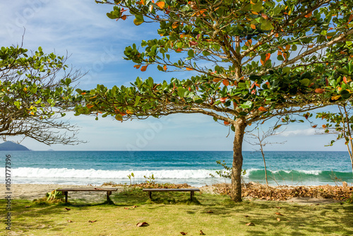 Castelhanos Beach is isolated and accessible by road or boat, making it an adventure to get to the other side of Ilhabela coast in Sao Paulo, with tropical vegetation and paradise scenery in Brazil.