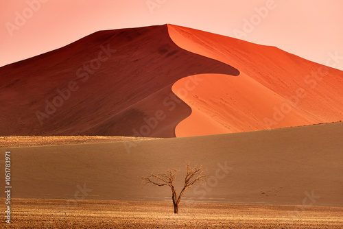 Fototapeta Naklejka Na Ścianę i Meble -  Namibia's Desert Wonders: Sossusvlei, Deadvlei, and Iconic Dunes

