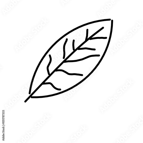 leaves 