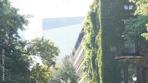 New York City classic building architecture. Urban residential house corner exterior. Real estate property, USA. Typical green facade covered ivy plant. Wall garden on Stuyvesant street. Vine climber. photo