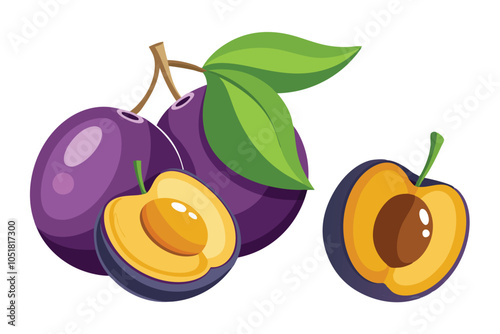 Fresh and Dried Plums Icon Set – Whole, Half, and Prune Plums Vector on White Background.