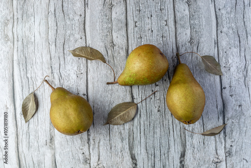 Ripe brown green whole pear fruits variety beurre bosc with dread leaves on wooden background. Fresh harvesting whole pear closeup. photo