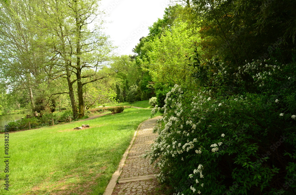 Obraz premium path in the park