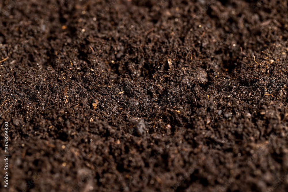 mixed soil with the addition of peat to increase fertility mixed soil with the addition of peat to increase fertility