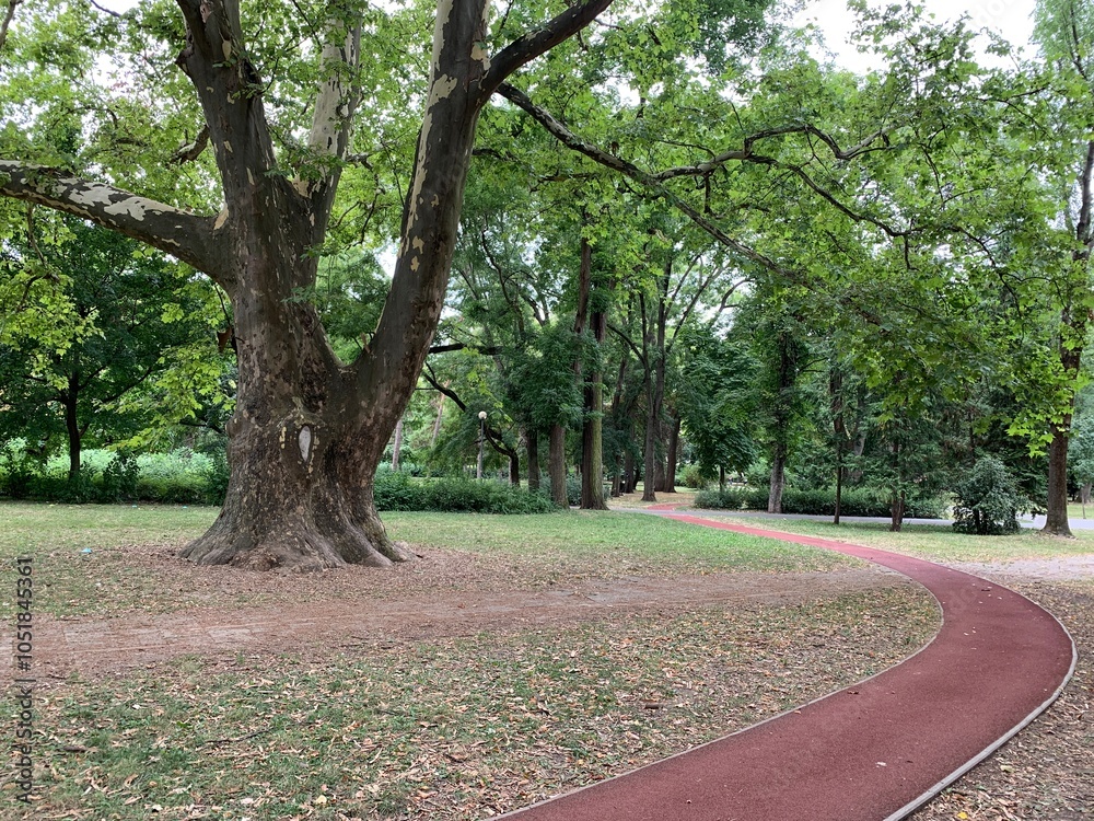 Obraz premium Running track in Archbishop's Garden (Hungarian: Érsekkert). A large park in Eger, Hungary that covers about 12 hectares. Single track leads slightly curved through the park underneath big, old trees.