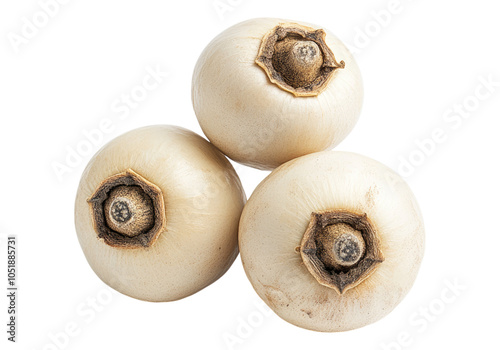 Photo of white pepper .Transparent background. Isolated PNG.