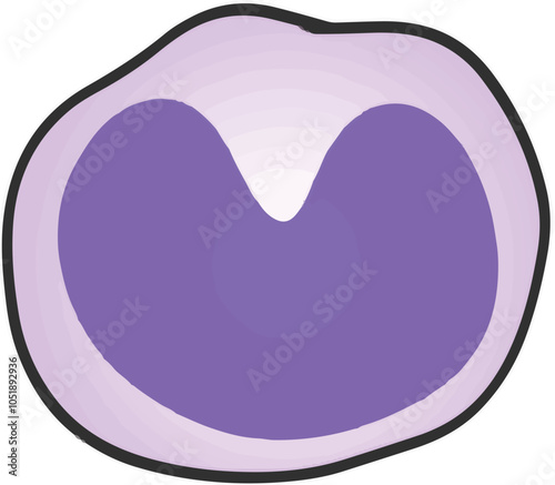Monocyte