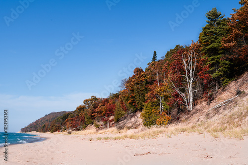 Fototapeta Naklejka Na Ścianę i Meble -  Autumn trees on Lake Michigan Sand Dunes