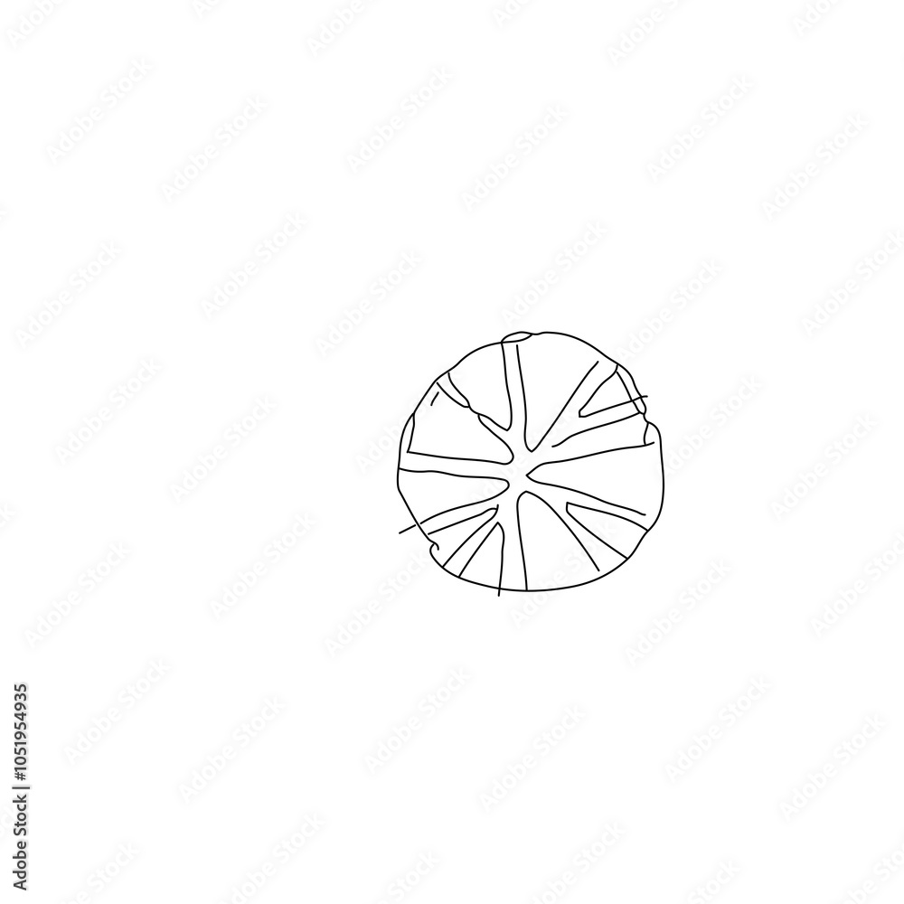 Minimalist Design Asset, hand sketch Monochrome Tree Silhouette for Creatives. Black and white design sign. High-quality illustration assets symbol for architectural design. Minimalist Design Asset, hand sketch Monochrome Tree Silhouette for Creatives. Black and white design sign. High-quality illustration assets symbol for architectural design.