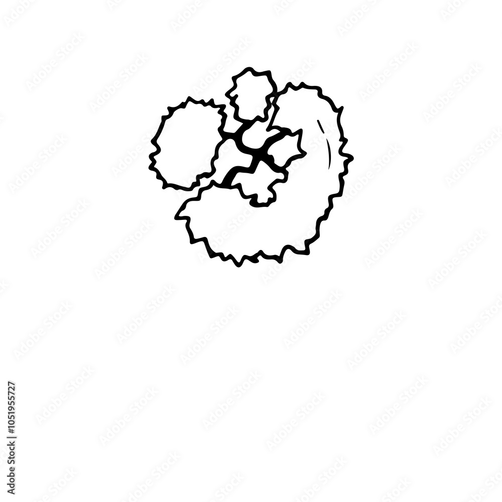 Minimalist Design Asset, hand sketch Monochrome Tree Silhouette for Creatives. Black and white design sign. High-quality illustration assets symbol for architectural design. Minimalist Design Asset, hand sketch Monochrome Tree Silhouette for Creatives. Black and white design sign. High-quality illustration assets symbol for architectural design.