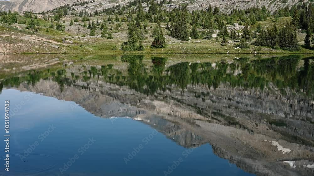 Calm mountain lake reflects the surrounding hills and trees while fish ripple the water
Calm mountain lake reflects the surrounding hills and trees while fish ripple the water